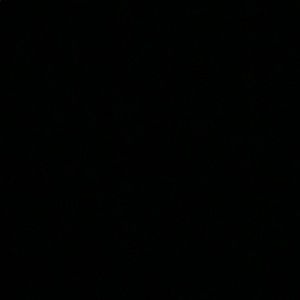 Meet your Posher, Lee